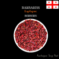 BARBARISS (KUIVATUD MARJAD) 150G